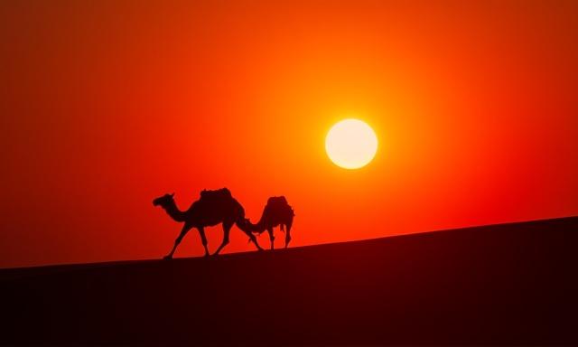Ein Kamelkarren vor einer untergehenden Sonne in der Sahara, für die Kollektion Sahara-Sagen.